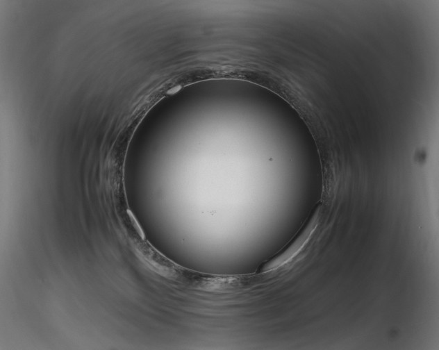 X0000116840136200912181506