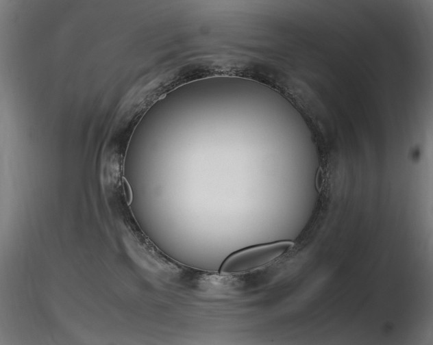 X0000116840137200912181506