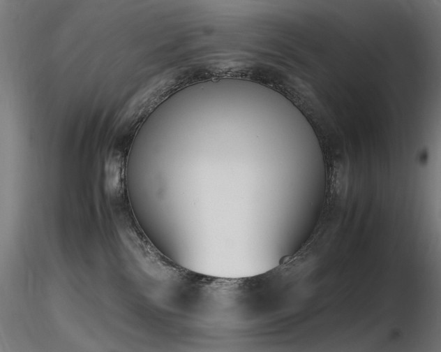 X0000116840138200912181506