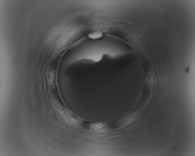 X0000116840139200912181506