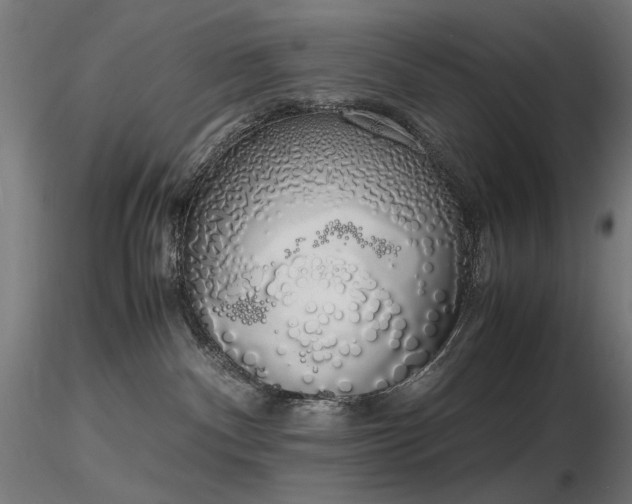 X0000116840140200912181506
