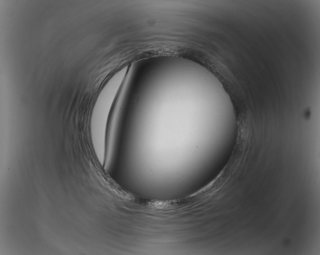 X0000116840141200912181506