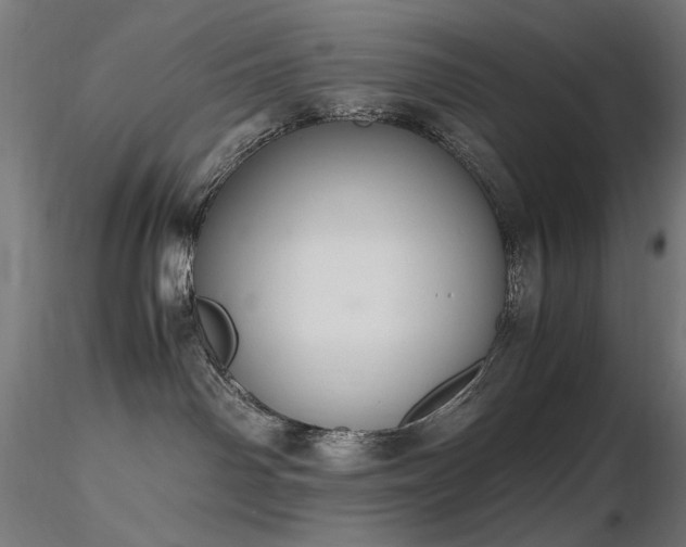 X0000116840142200912181506