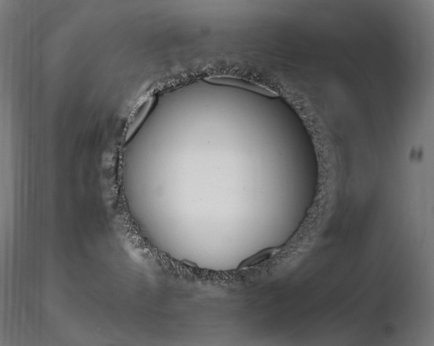 X0000116840144200912181506