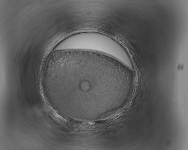 X0000116840145200912181506