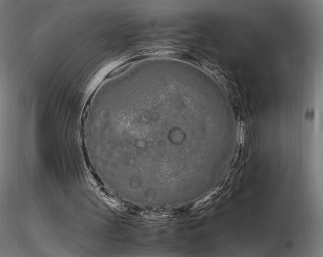 X0000116840147200912181506