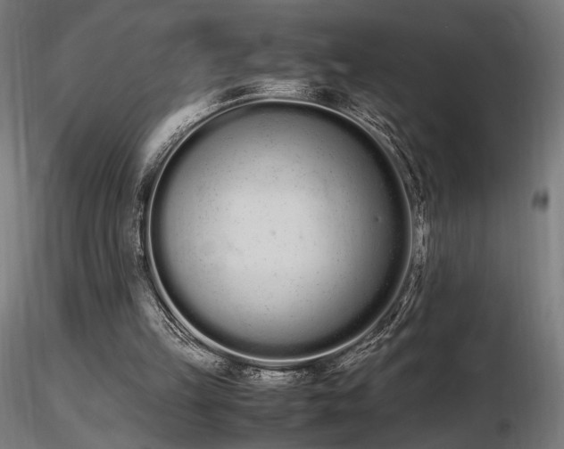 X0000116840149200912181506