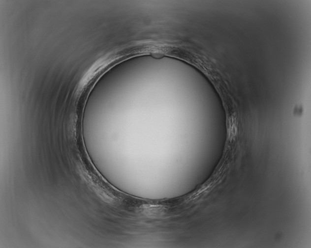 X0000116840150200912181506