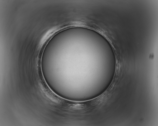 X0000116840151200912181506