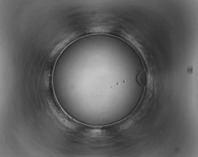 X0000116840153200912181506