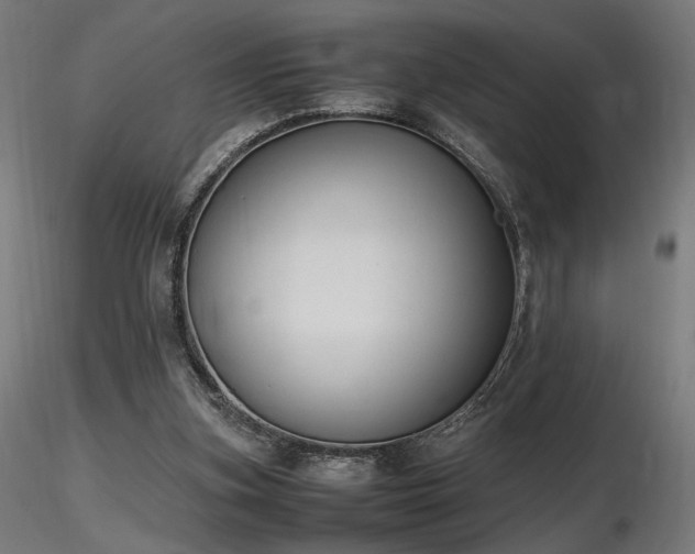 X0000116840155200912181506