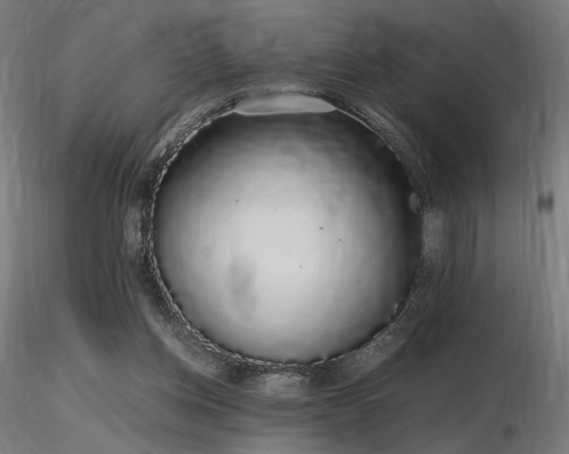 X0000116840158200912181506
