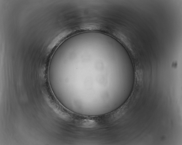 X0000116840159200912181506