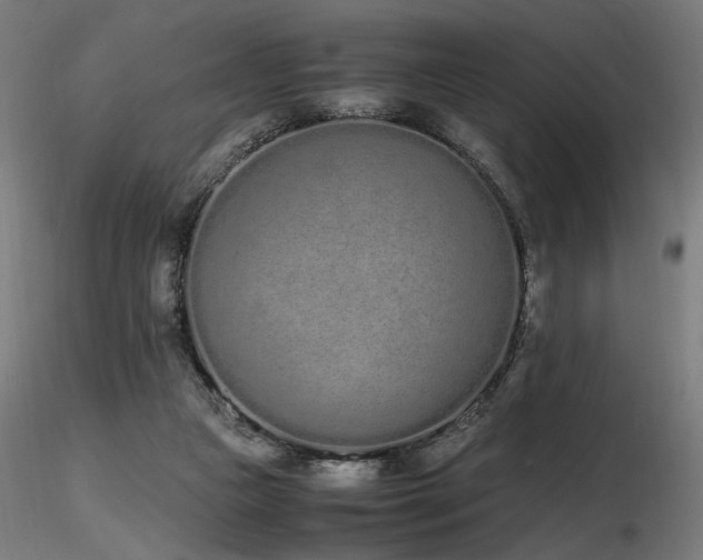 X0000116840161200912181506