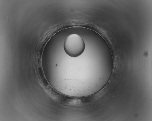 X0000116840162200912181506