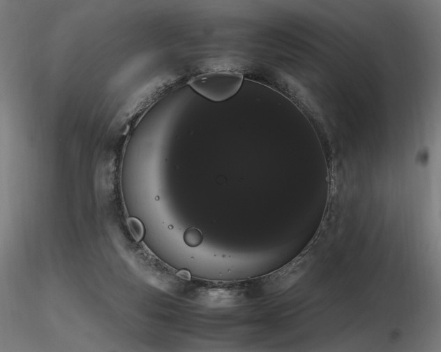 X0000116840163200912181506