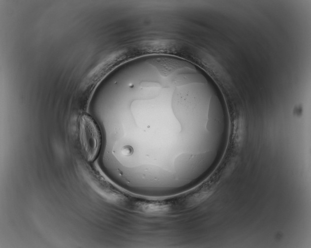 X0000116840165200912181506