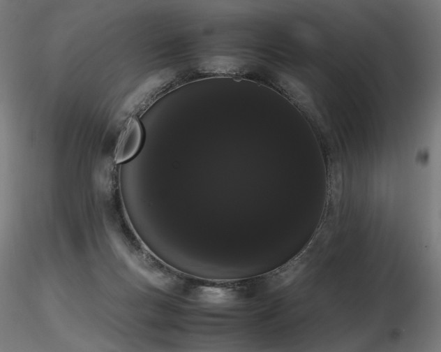 X0000116840167200912181506