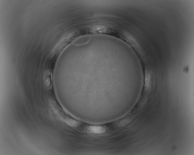 X0000116840169200912181506