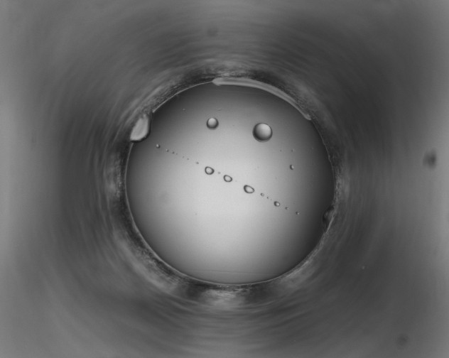X0000116840170200912181506