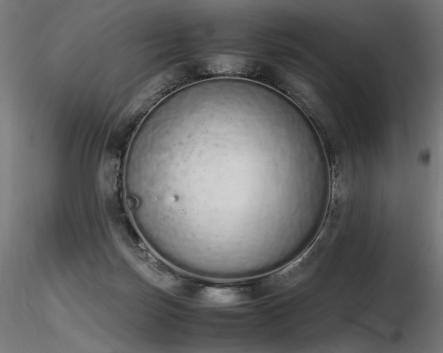 X0000116840171200912181506