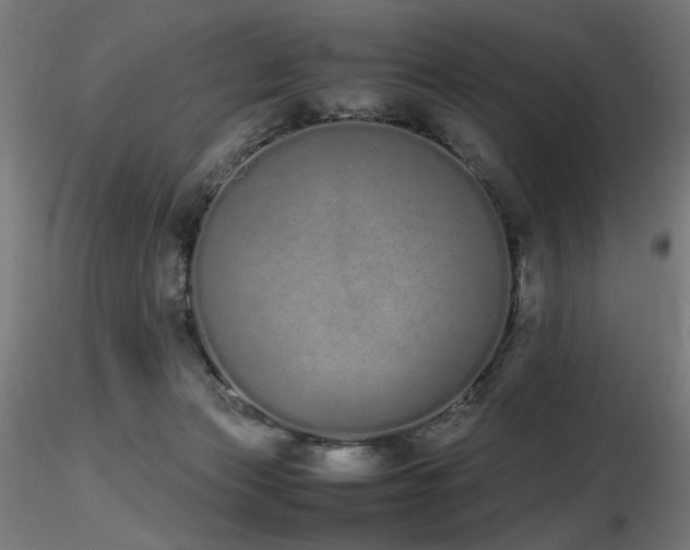 X0000116840173200912181506