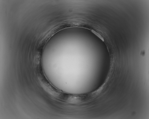 X0000116840174200912181506