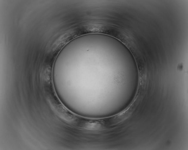 X0000116840175200912181506