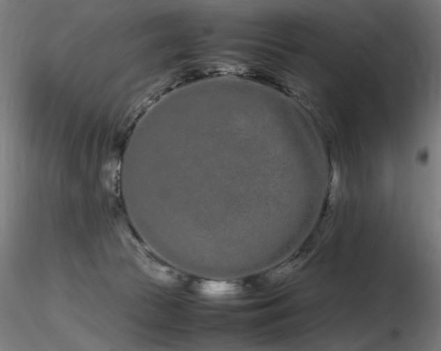 X0000116840177200912181506
