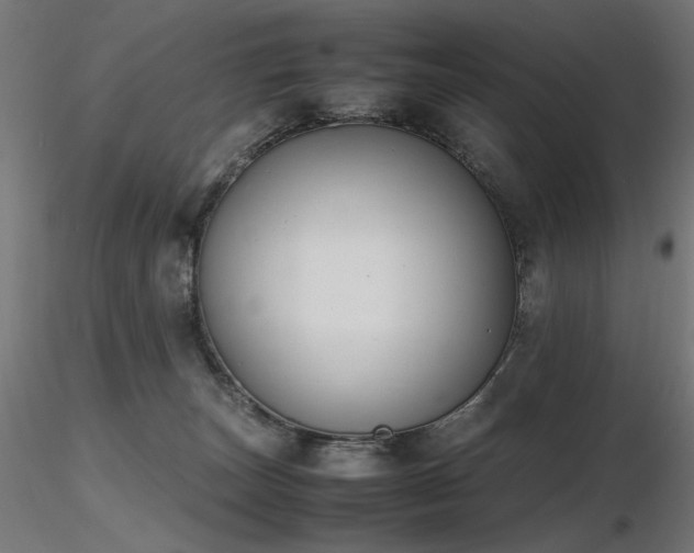 X0000116840179200912181506