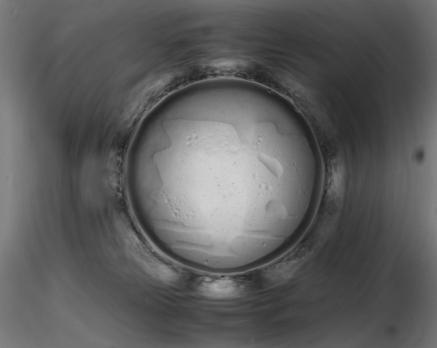 X0000116840181200912181506