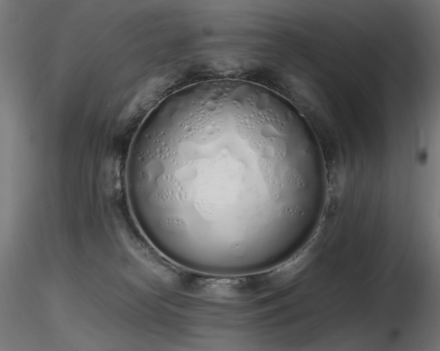 X0000116840182200912181506