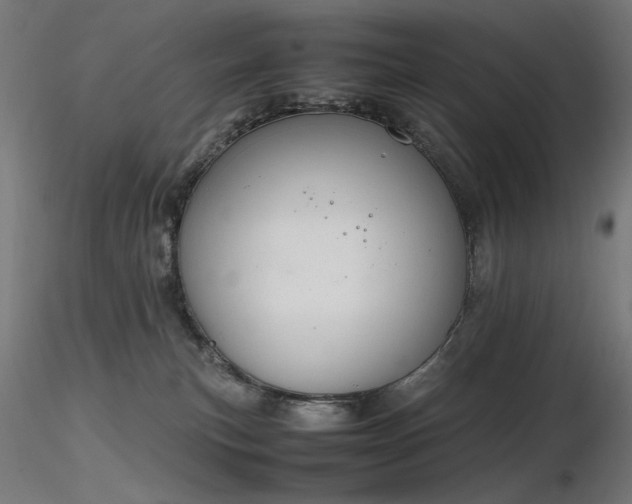 X0000116840183200912181506