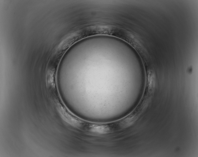 X0000116840185200912181506