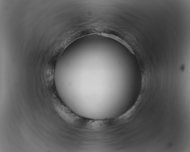 X0000116840186200912181506