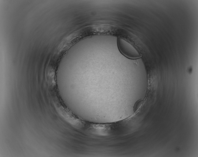 X0000116840187200912181506