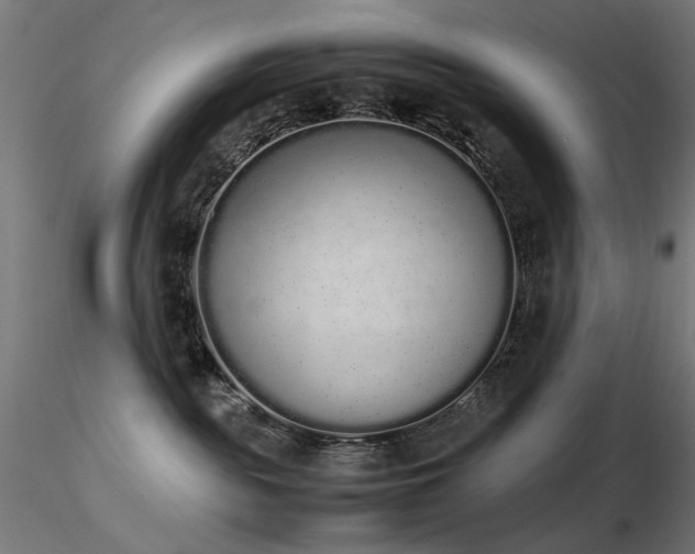 X0000116840189200912181506