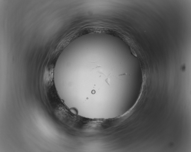 X0000116840190200912181506