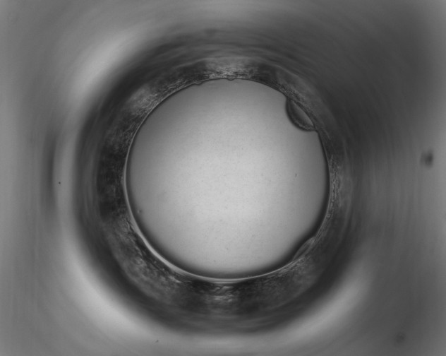 X0000116840191200912181506