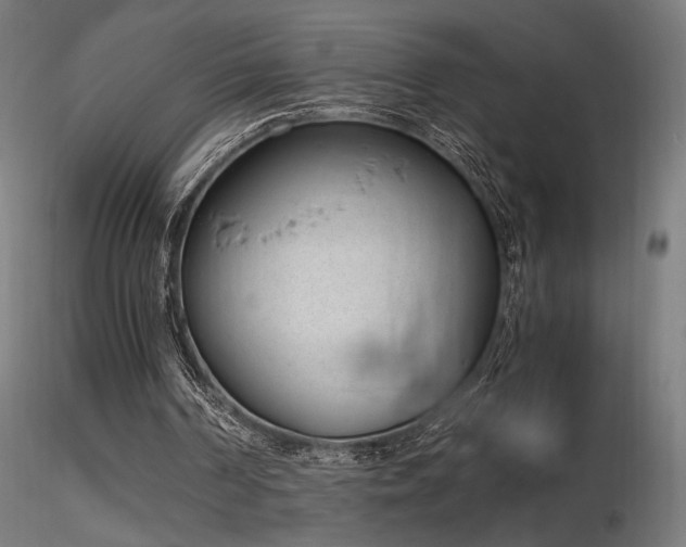 X0000116840194200912181506