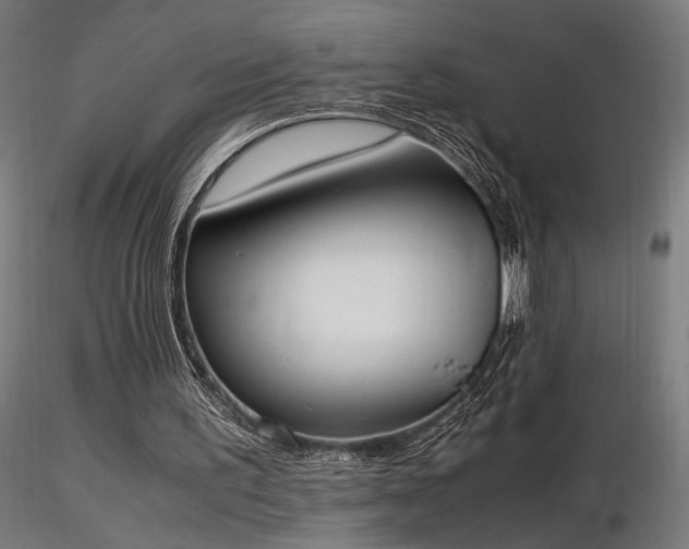 X0000116840195200912181506