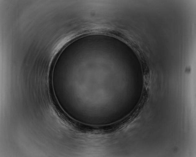 X0000116840196200912181506