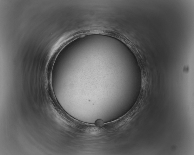 X0000116840198200912181506