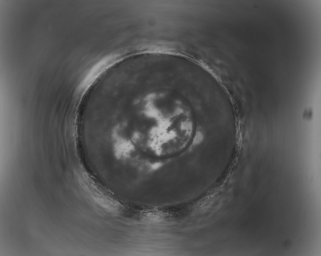 X0000116840199200912181506