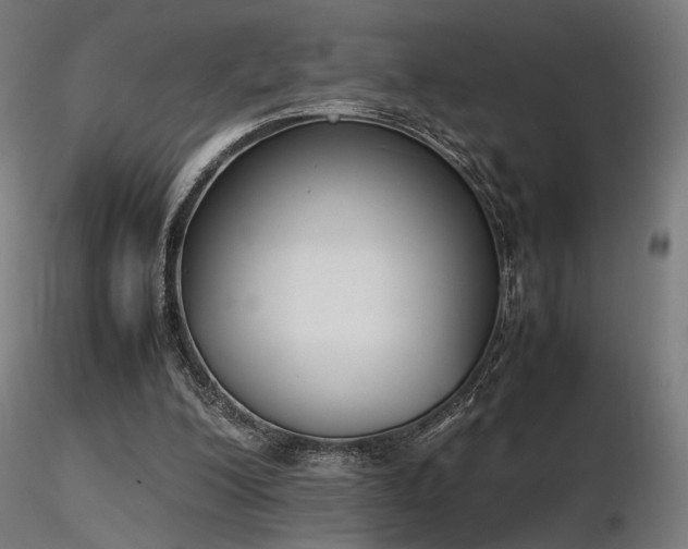 X0000116840200200912181506