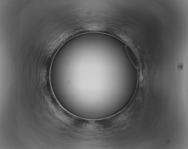 X0000116840201200912181506