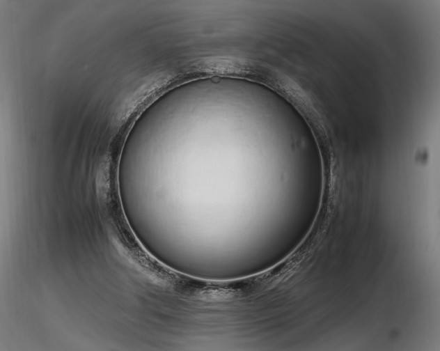 X0000116840202200912181506