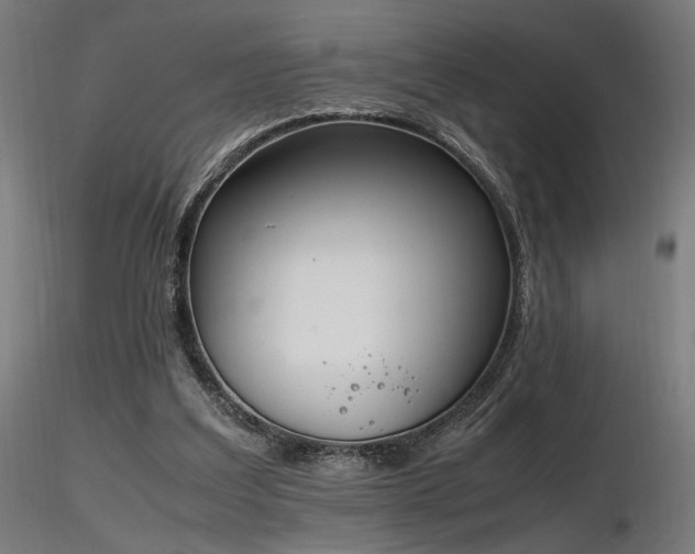 X0000116840203200912181506
