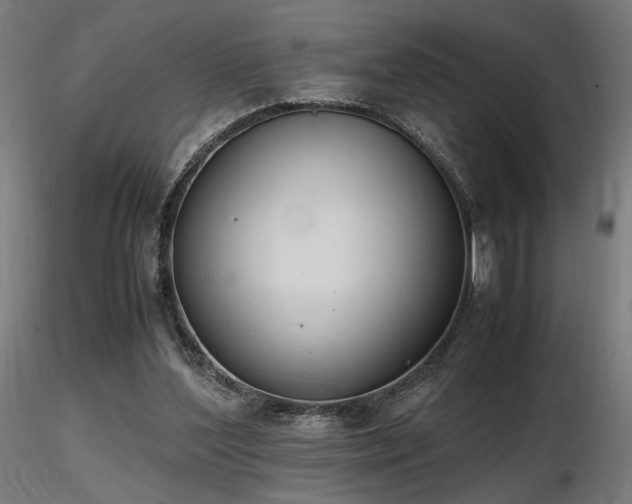 X0000116840204200912181506