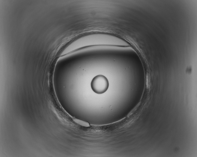 X0000116840205200912181506